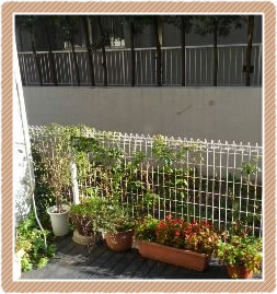 �E�b�h�f�b�L�Ő[�ċz